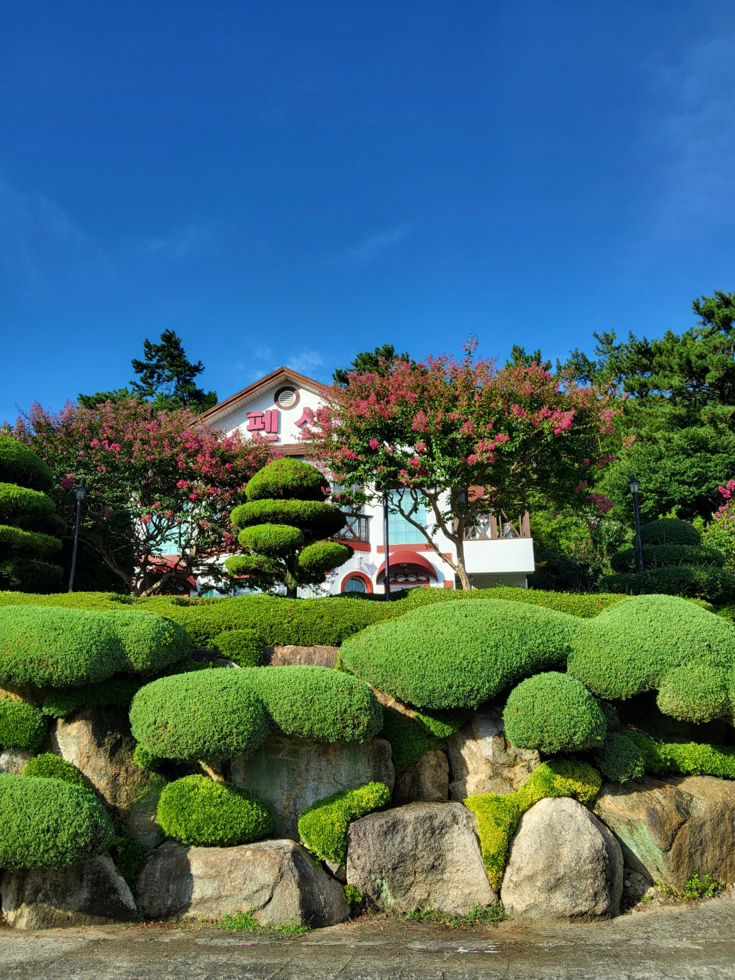 하얀도브 펜션 전경